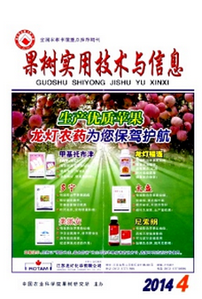 xڶA¼g