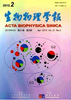 W(xu)Ǳڿ