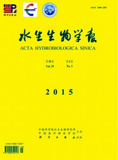 ˮW2016ڿշ