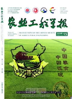rǏW