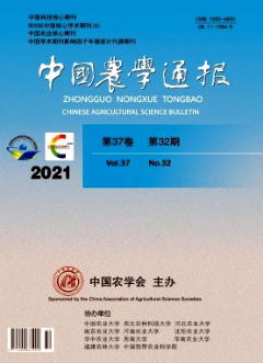 һ꽵wSصĵ͜طžStreptomyces azureusa(chn)øl(yu)