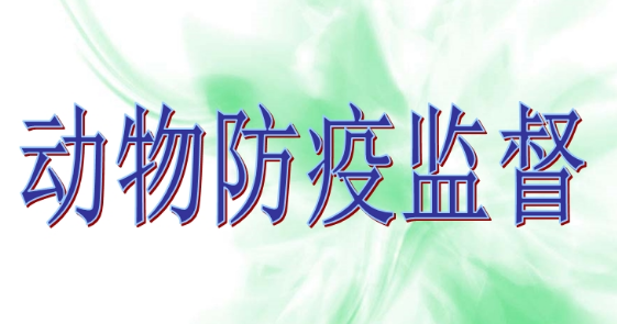 ӄ(dng)l(wi)O(jin)ͷߙz߹Ć(wn)}̽ӑ