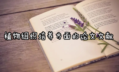ֲMB(yng)ՓīI