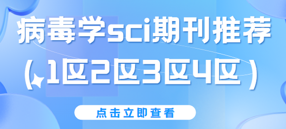 W(xu)sciڿ