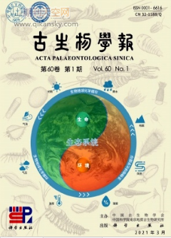 W(xu)(bo)