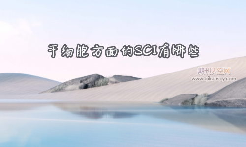 ɼSCIЩ